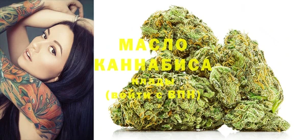 крисы Алзамай