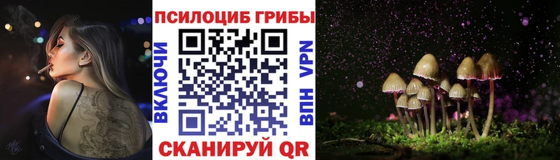 Псилоцибиновые грибы мухоморы  Олонец 